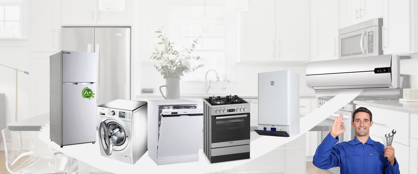 Mardin Dominox Servisi